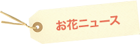 お花ニュース